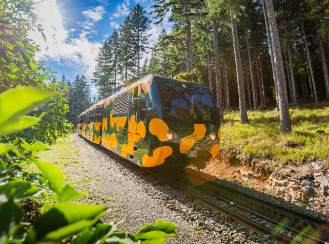 042_Salamander 3 Copyright Schneebergbahn_NB_Schranz